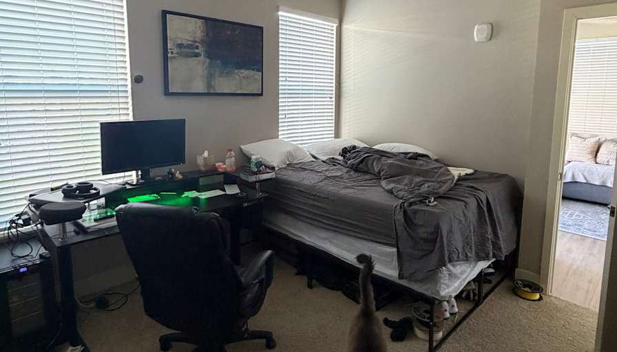 Shayla's room