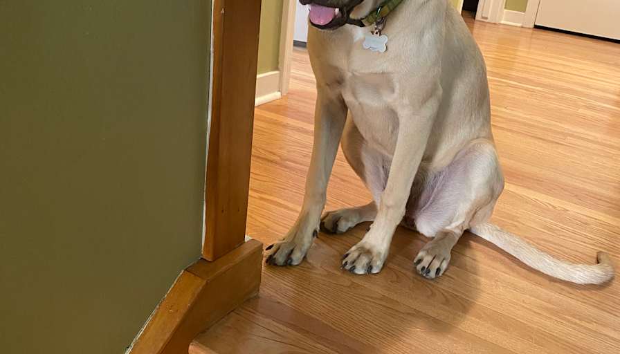 LMN's room