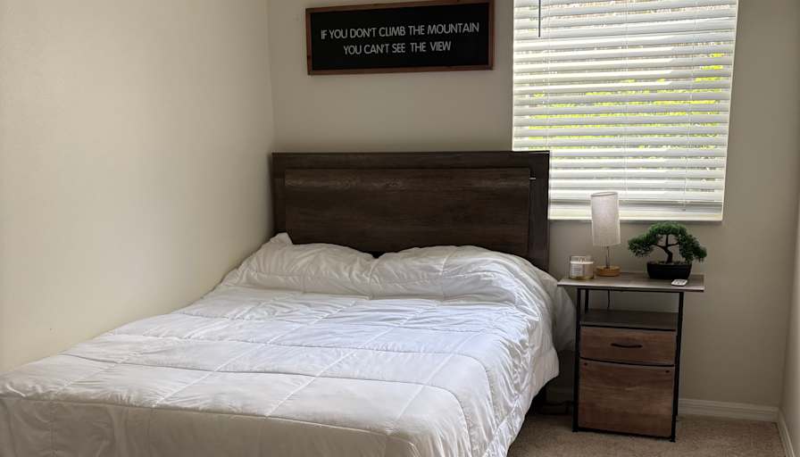 Andrea's room