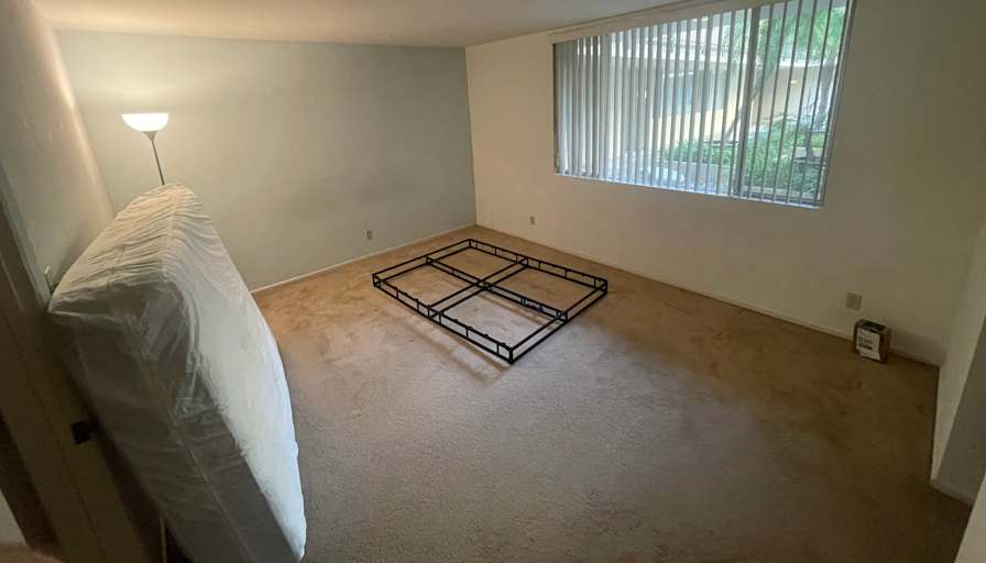 Alexander's room