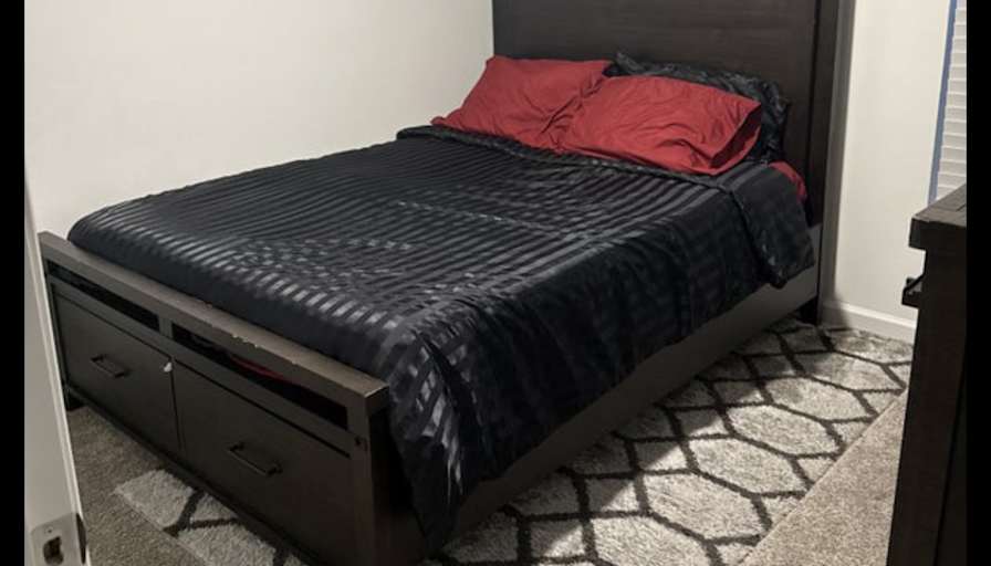 Rafael's room