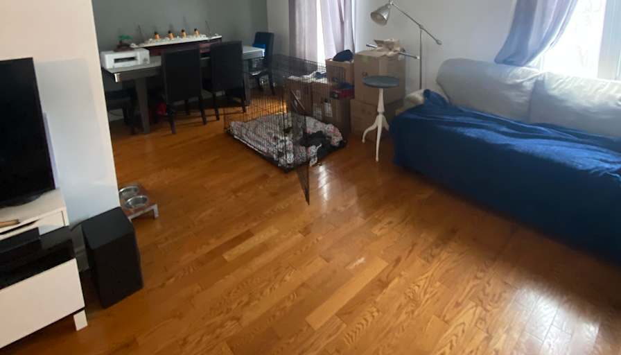 Colin's room