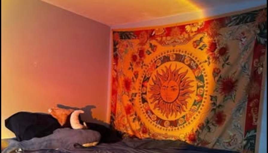 Amy's room