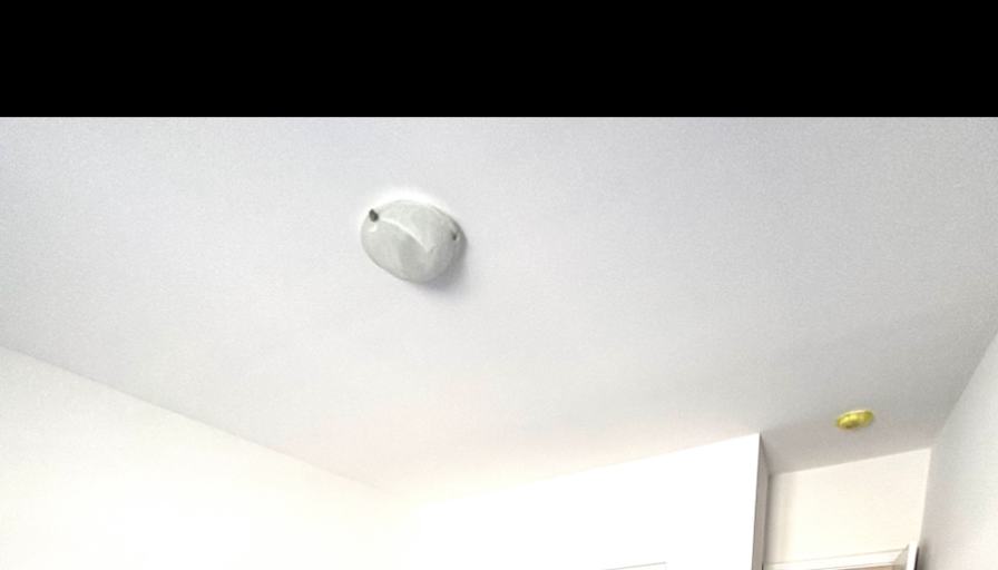 Patricia's room