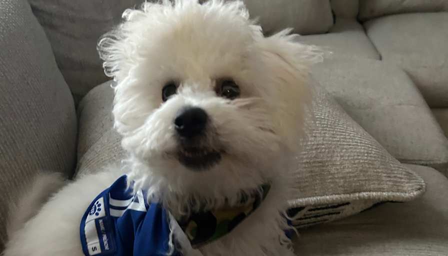 Rob's room