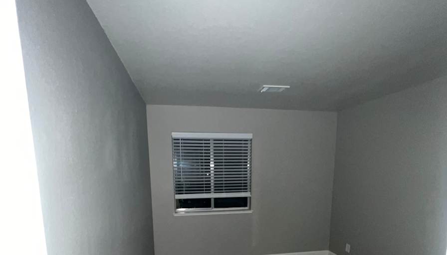 Daphne's room