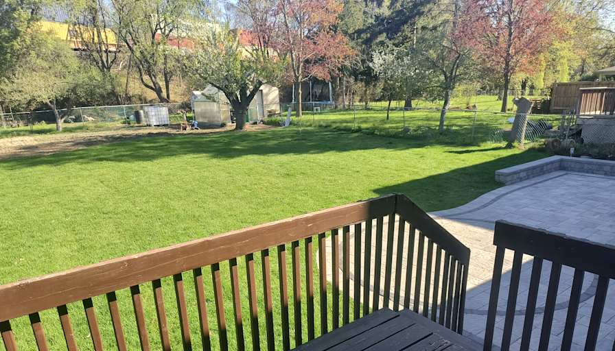 Goli's room
