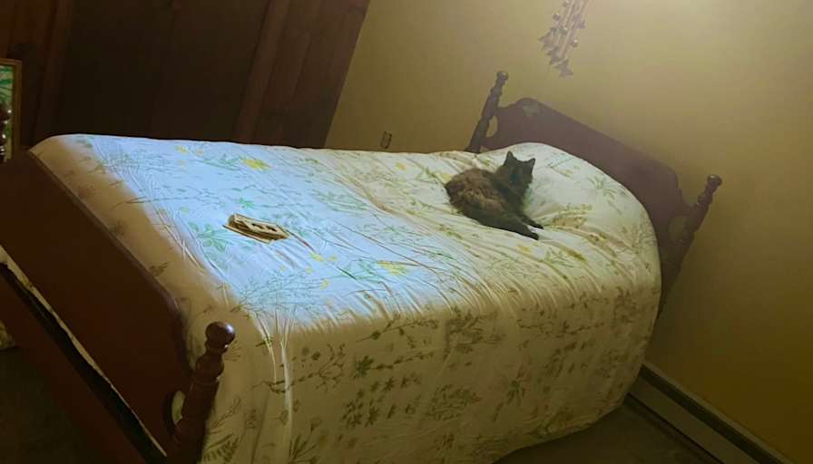 Danyle's room