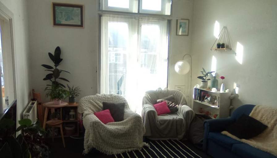 Louisa's room