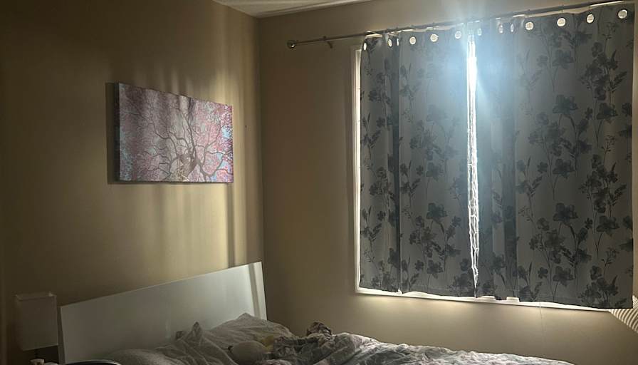 Laura's room