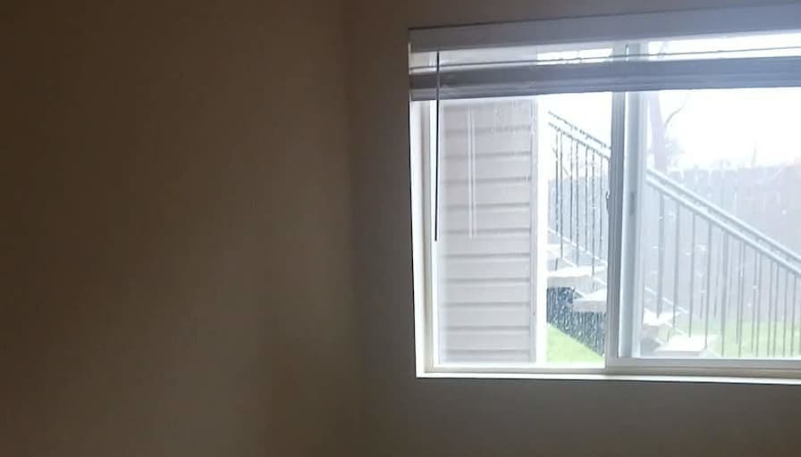 Rose Meadows's room