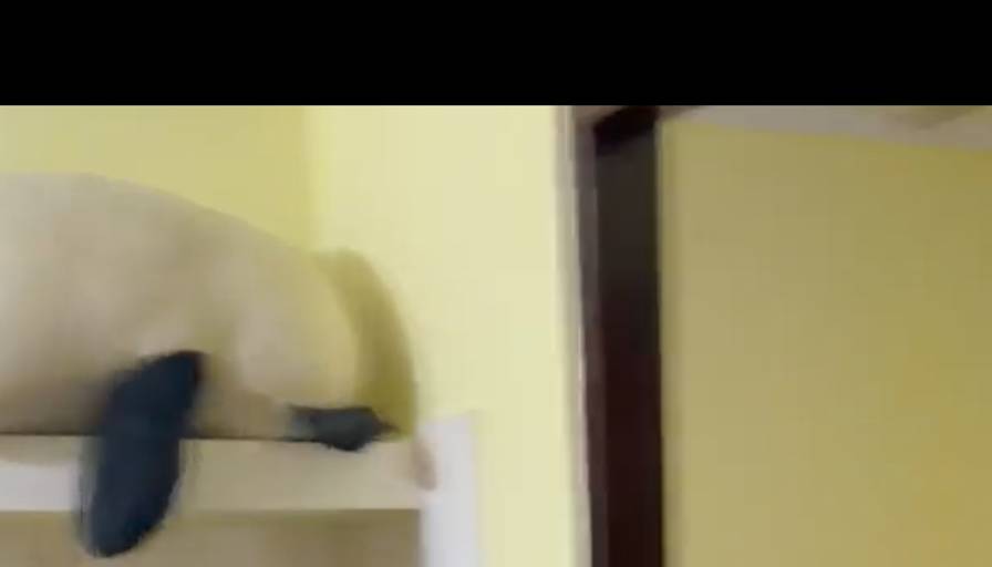 Mansi's room