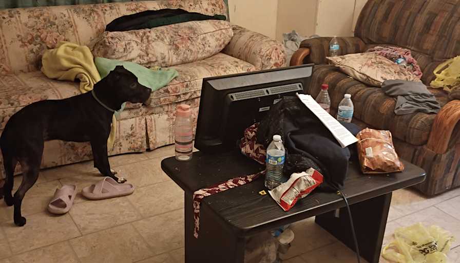 Arin's room