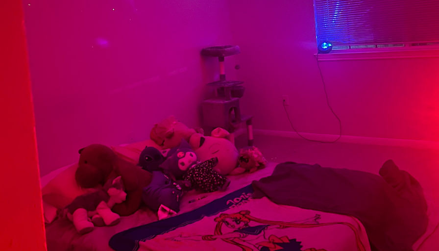 mars's room