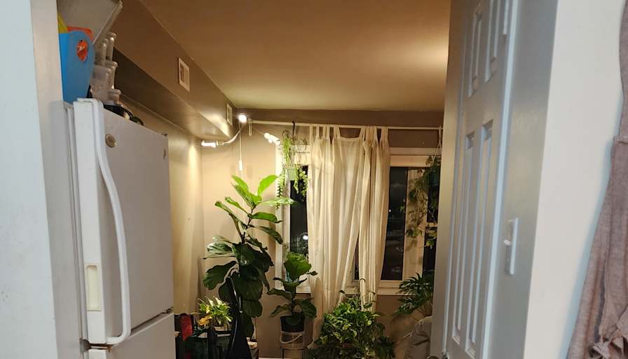 Meika's room