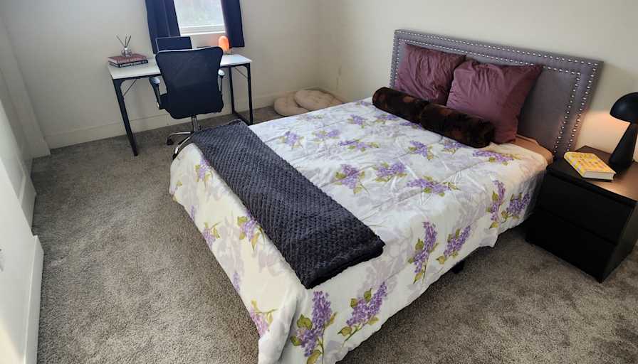 Alexander's room