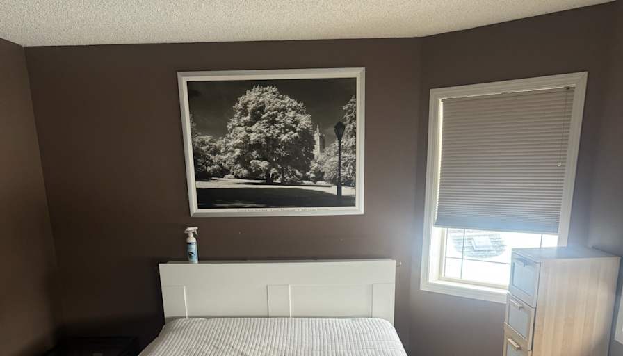 landlord's room