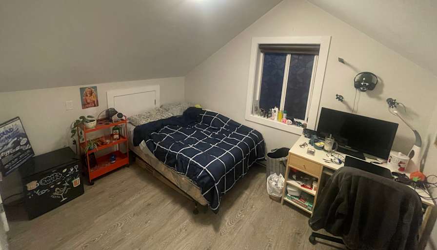 Rex's room