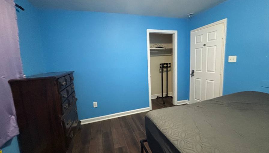 Daniela Hillis's room