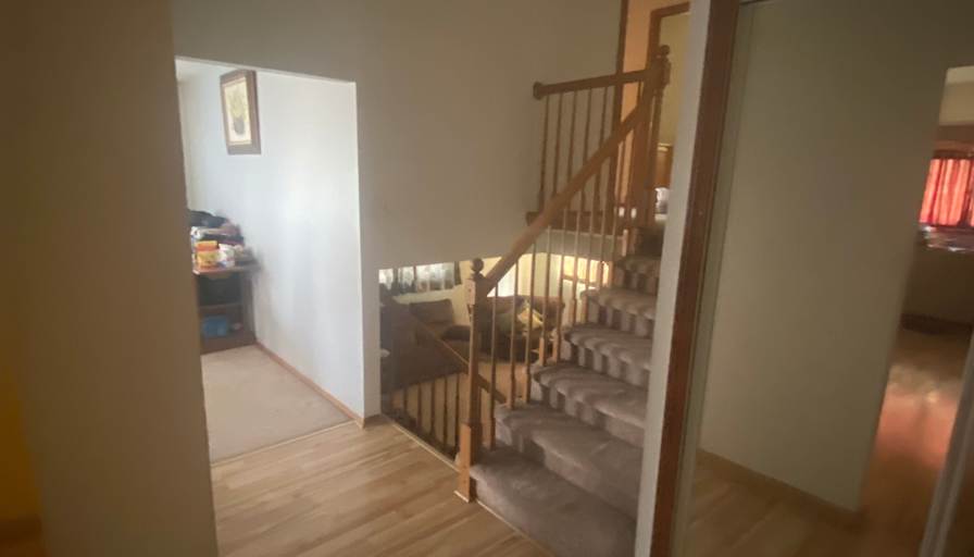 Daniel's room