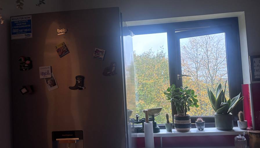 Nin's room
