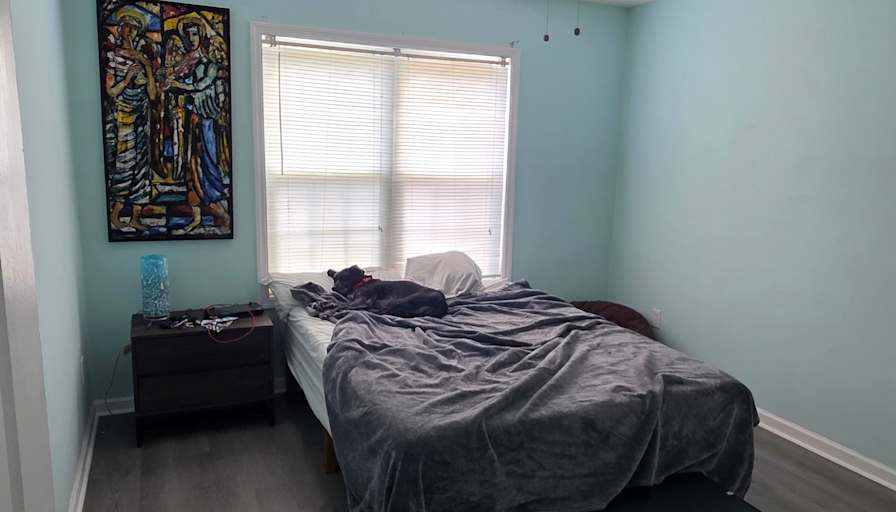 Ryan's room