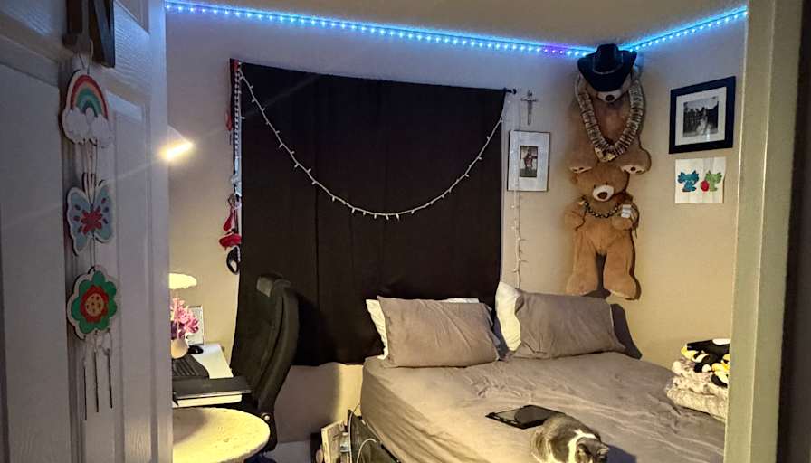 Nora's room