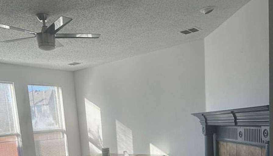 Skylar Mentesana snyder's room