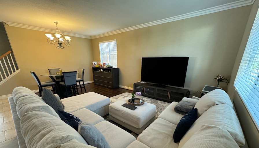 Fan's room