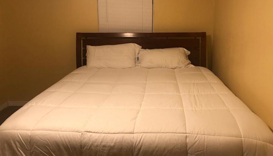 Olive Cherelus's room