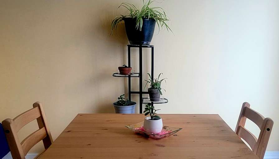 Antonia's room