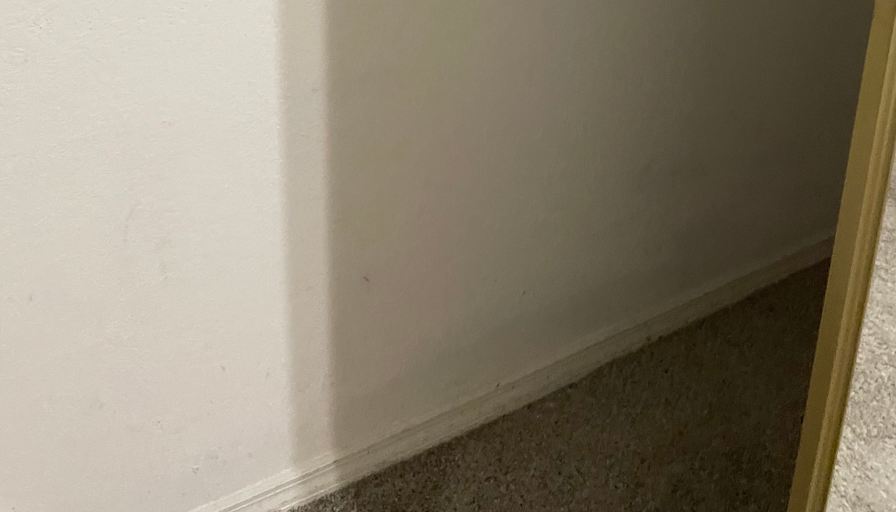 Alexandra's room
