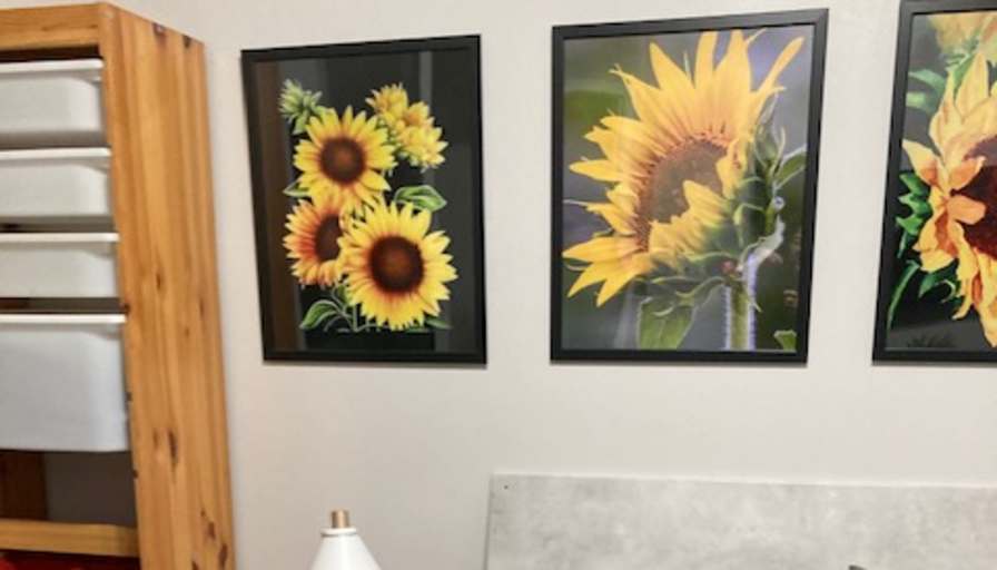 Laurie Petersen's room