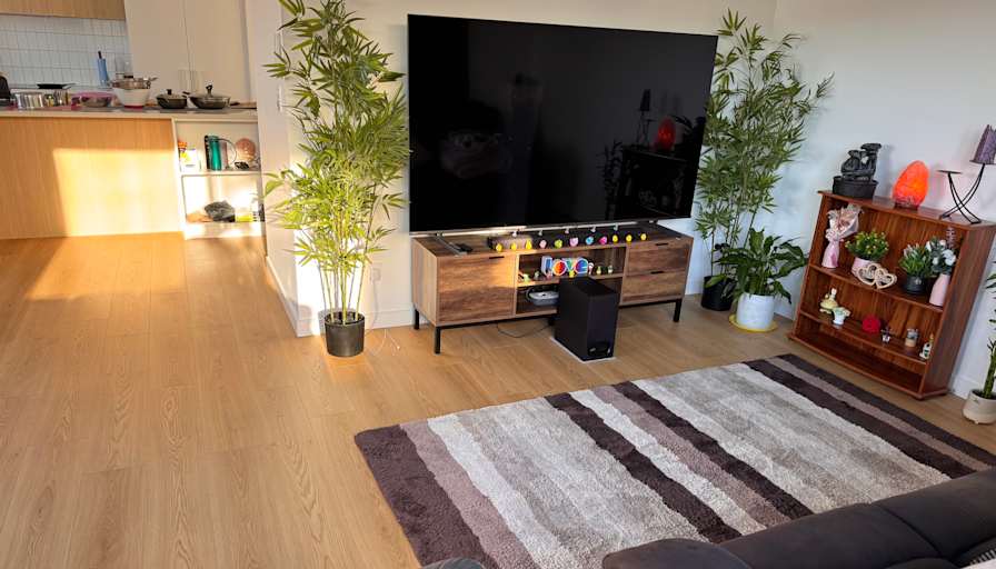 Vish's room
