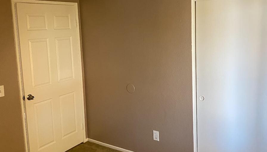 Luz's room