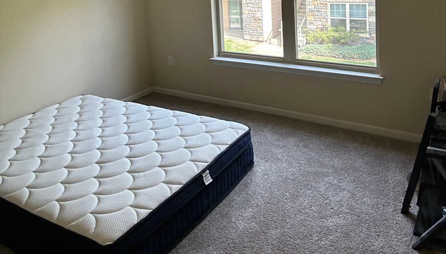Robert Williams's room