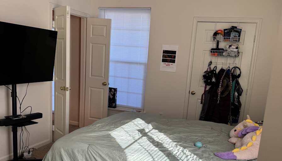 Anna's room