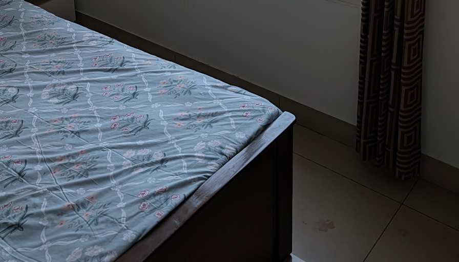 Yadush's room