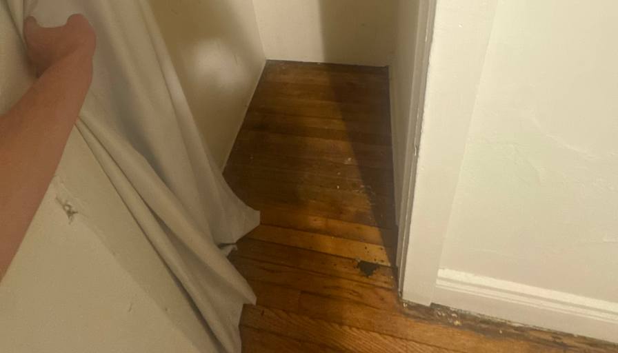Carson's room