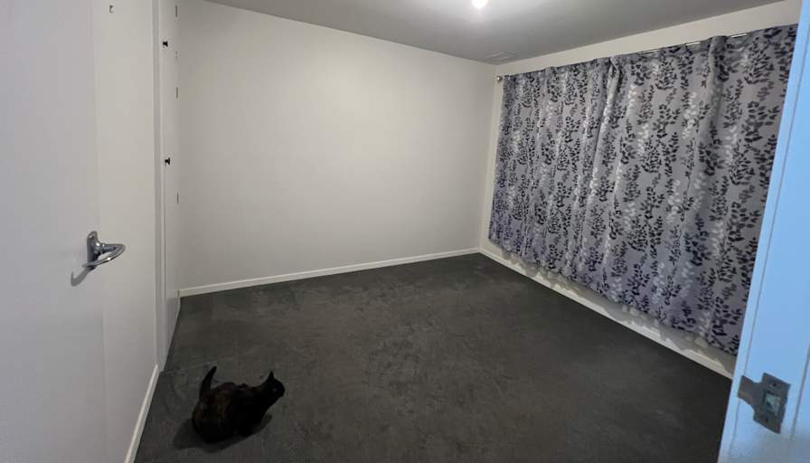 Shannon's room
