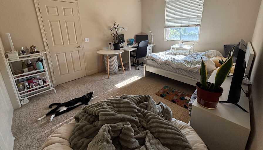Megan's room
