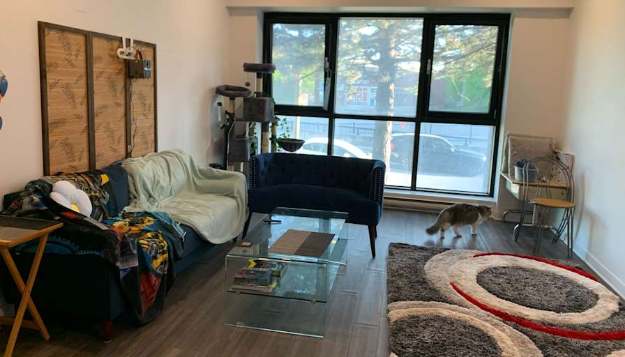 Noah's room