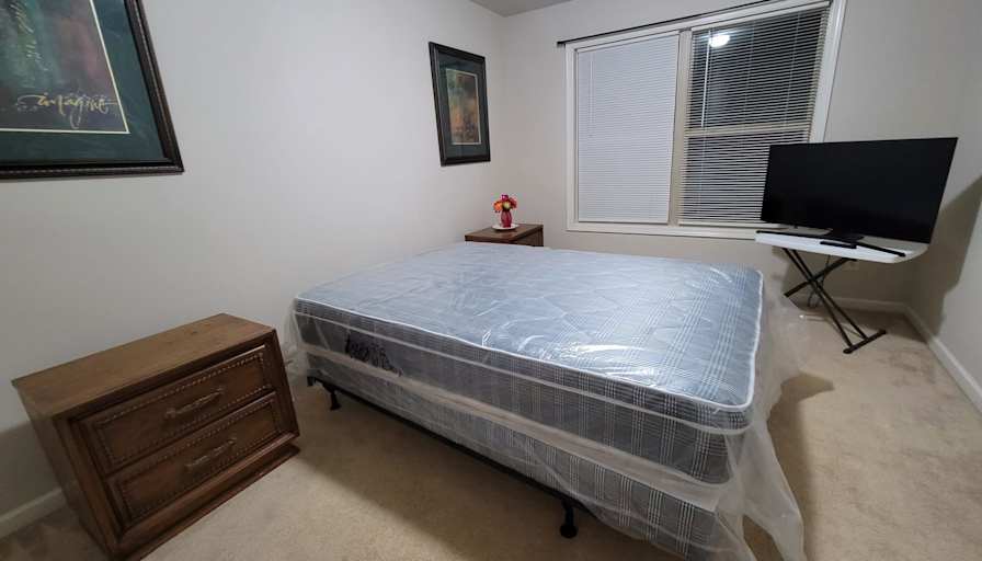 Aliza's room
