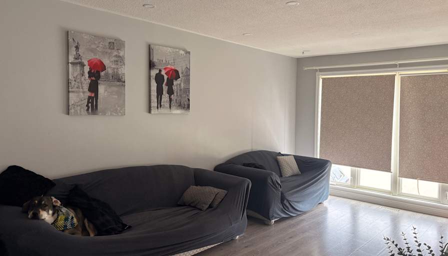 Taylor's room
