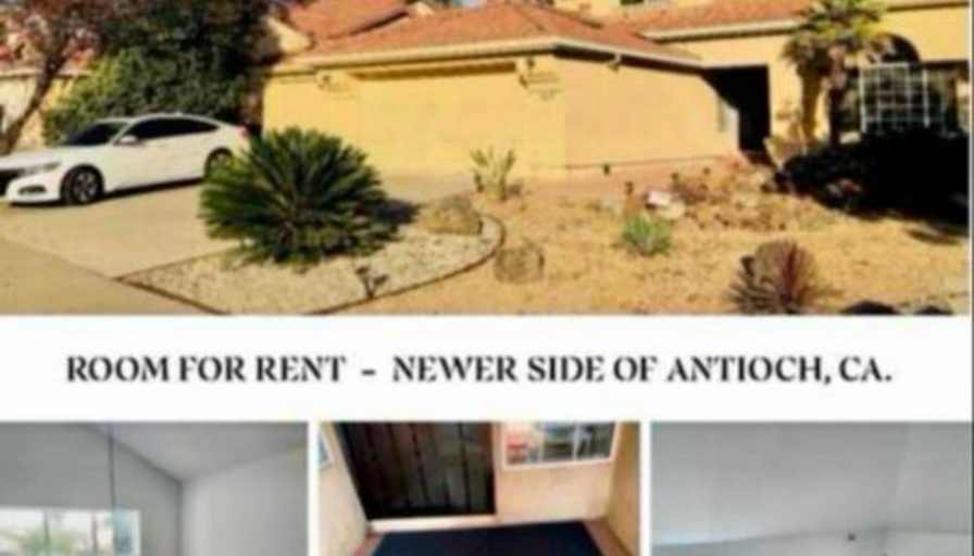 ROOM FOR RENT's room