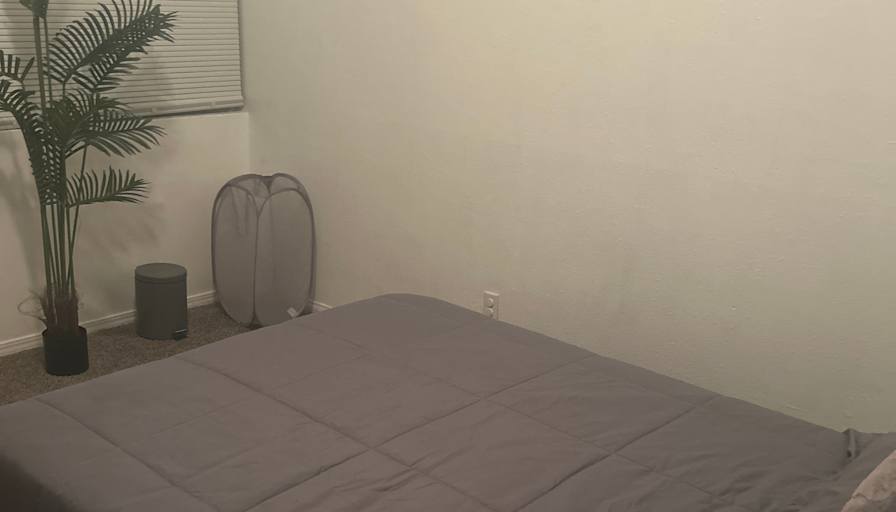 Sonja Jenkins's room