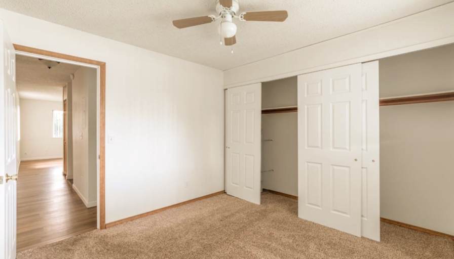 Lily's room