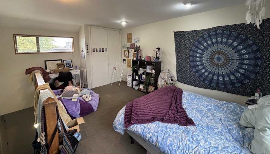 Steph's room