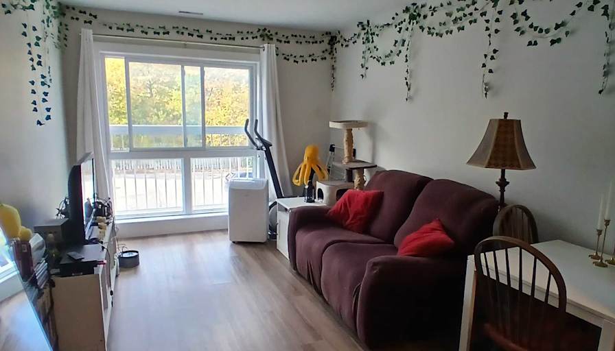 Elena's room