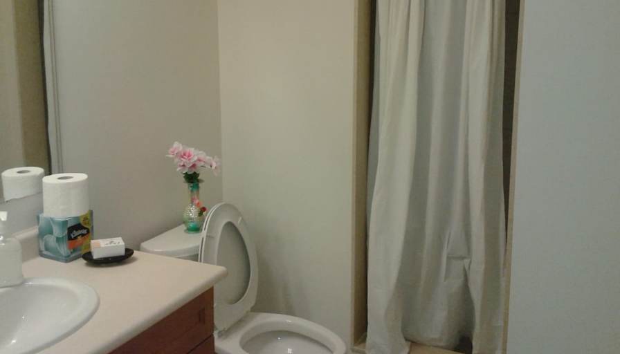 Shaheen's room